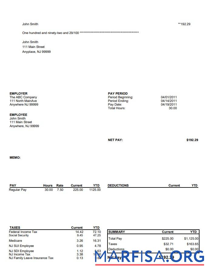 Downloadable North Main Avenue Pay Stub sample